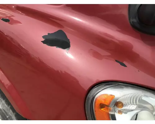 FREIGHTLINER CASCADIA 113 2008-2020 HOOD