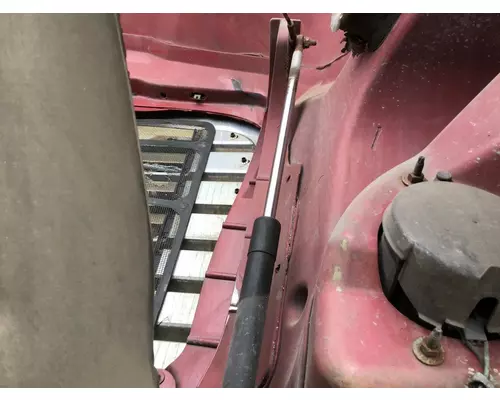 FREIGHTLINER CASCADIA 113 2008-2020 HOOD