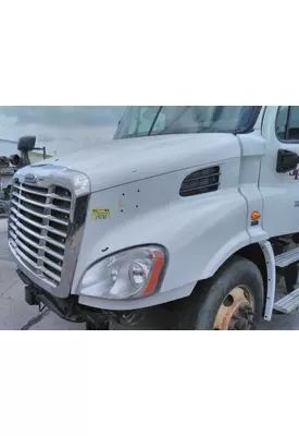 FREIGHTLINER CASCADIA 113 2008-2020 HOOD