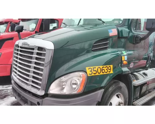 FREIGHTLINER CASCADIA 113 2008-2020 HOOD