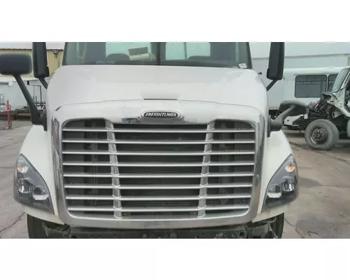 FREIGHTLINER CASCADIA 113 2008-2020 HOOD