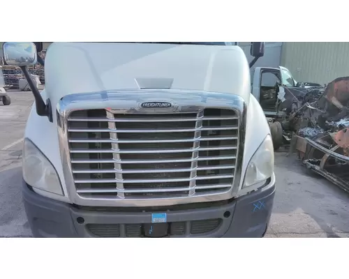 FREIGHTLINER CASCADIA 113 2008-2020 HOOD