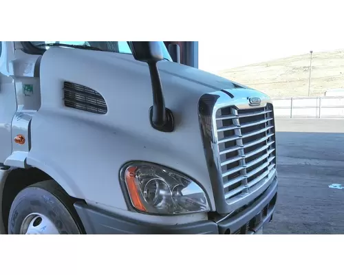 FREIGHTLINER CASCADIA 113 2008-2020 HOOD