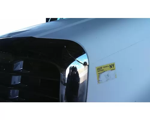 FREIGHTLINER CASCADIA 113 2008-2020 HOOD