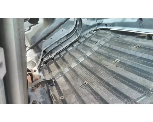 FREIGHTLINER CASCADIA 113 2008-2020 HOOD