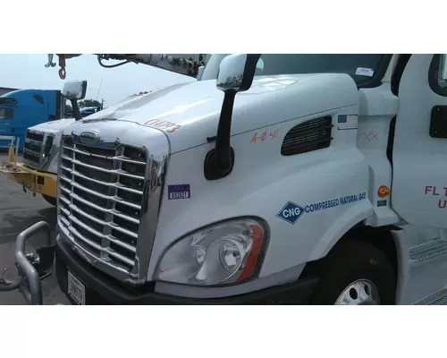 FREIGHTLINER CASCADIA 113 2008-2020 HOOD
