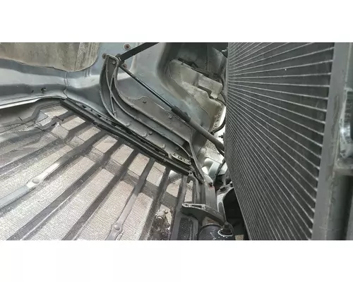 FREIGHTLINER CASCADIA 113 2008-2020 HOOD
