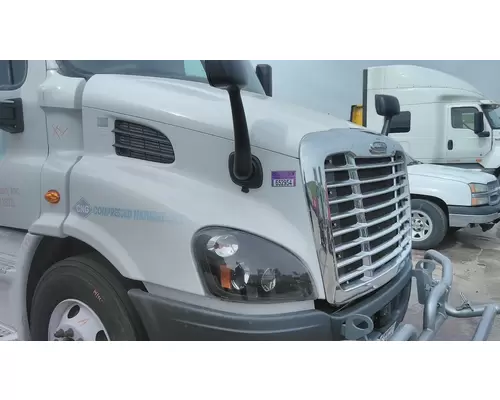 FREIGHTLINER CASCADIA 113 2008-2020 HOOD