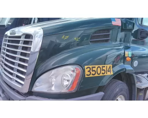 FREIGHTLINER CASCADIA 113 2008-2020 HOOD