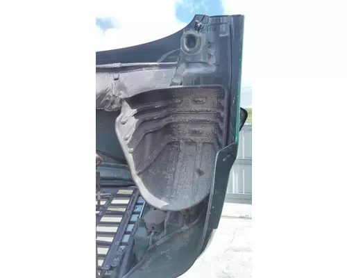 FREIGHTLINER CASCADIA 113 2008-2020 HOOD