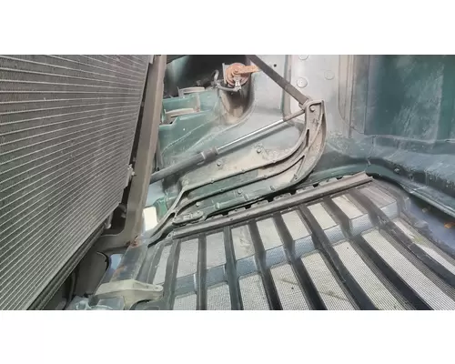 FREIGHTLINER CASCADIA 113 2008-2020 HOOD