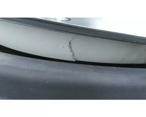 FREIGHTLINER CASCADIA 113 2008-2020 HOOD