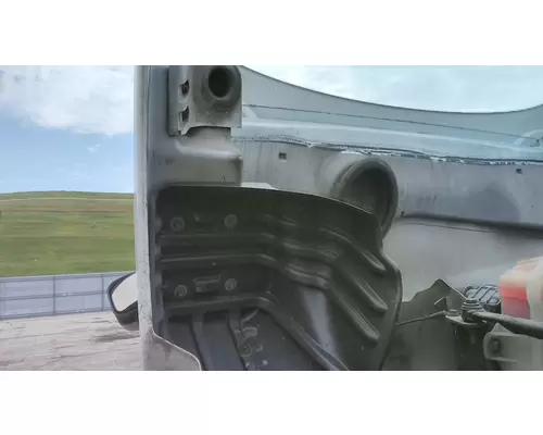 FREIGHTLINER CASCADIA 113 2008-2020 HOOD
