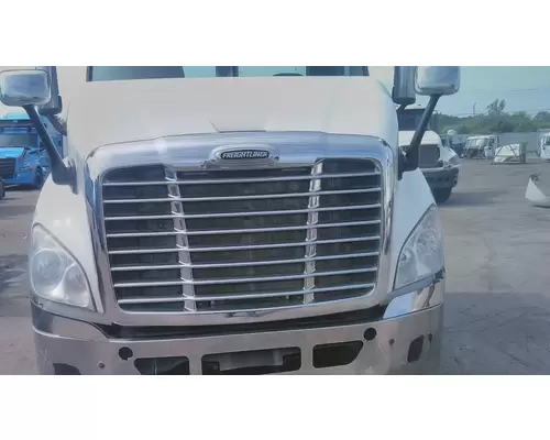 FREIGHTLINER CASCADIA 113 2008-2020 HOOD