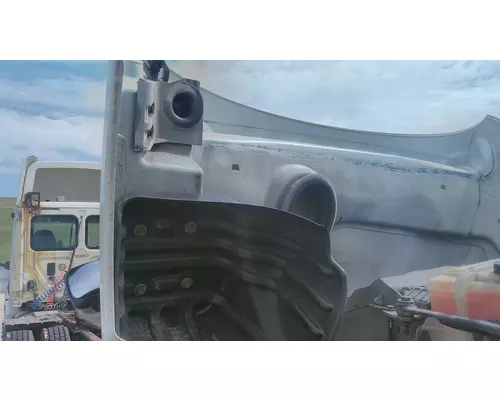 FREIGHTLINER CASCADIA 113 2008-2020 HOOD