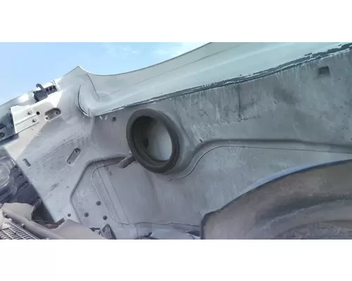FREIGHTLINER CASCADIA 113 2008-2020 HOOD