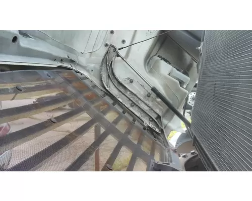 FREIGHTLINER CASCADIA 113 2008-2020 HOOD