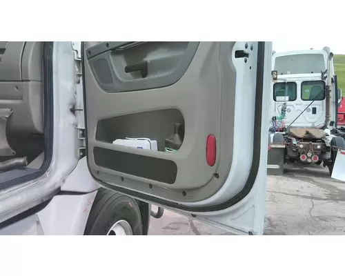 FREIGHTLINER CASCADIA 113 2018UP DOOR ASSEMBLY, FRONT