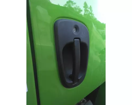 FREIGHTLINER CASCADIA 113 2018UP DOOR HANDLE