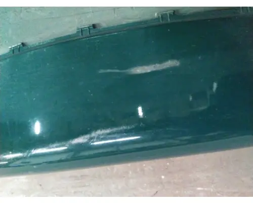 FREIGHTLINER CASCADIA 113 2018UP FENDER EXTENSION