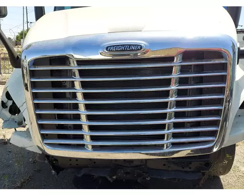 FREIGHTLINER CASCADIA 113 2018UP GRILLE