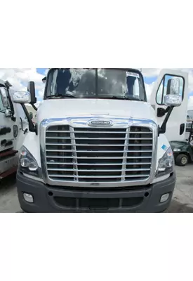 FREIGHTLINER CASCADIA 113 2018UP HOOD