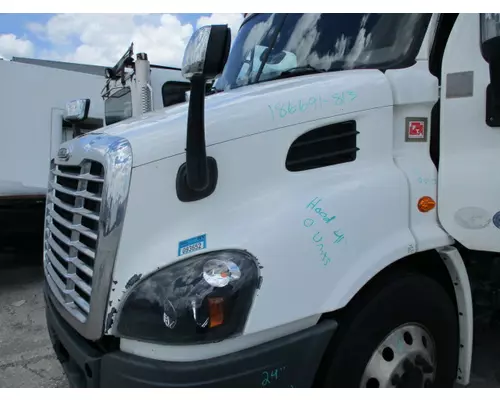 FREIGHTLINER CASCADIA 113 2018UP HOOD