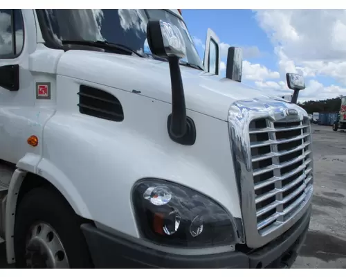 FREIGHTLINER CASCADIA 113 2018UP HOOD