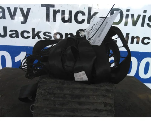 FREIGHTLINER CASCADIA 113 2018UP SEAT BELT SAFETY NET (SLEEPER)