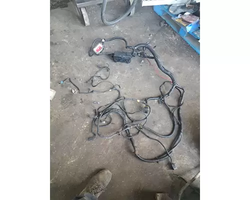 FREIGHTLINER CASCADIA 113BBC Body Wiring Harness