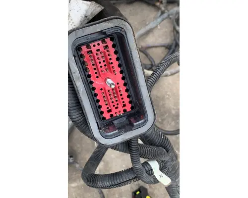 FREIGHTLINER CASCADIA 113BBC Body Wiring Harness