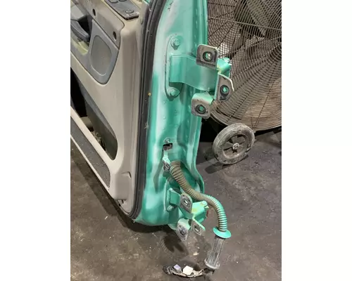 FREIGHTLINER CASCADIA 113BBC Door Assembly, Front