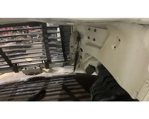 FREIGHTLINER CASCADIA 113BBC Hood