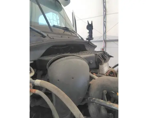 FREIGHTLINER CASCADIA 113 AIR CLEANER