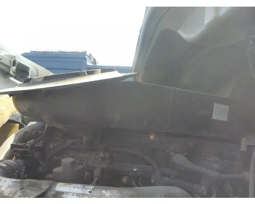 FREIGHTLINER CASCADIA 113 AIR CLEANER