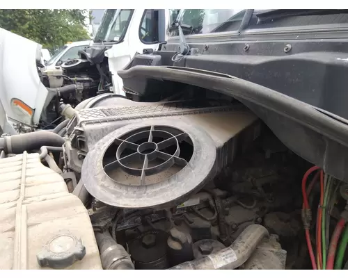 FREIGHTLINER CASCADIA 113 AIR CLEANER