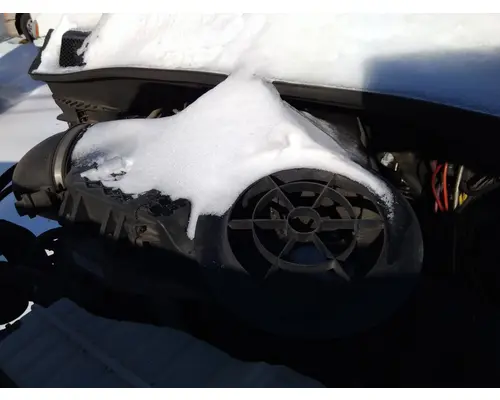 FREIGHTLINER CASCADIA 113 AIR CLEANER