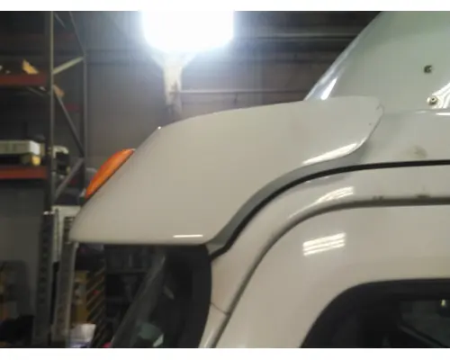 FREIGHTLINER CASCADIA 113 CAB CLIP
