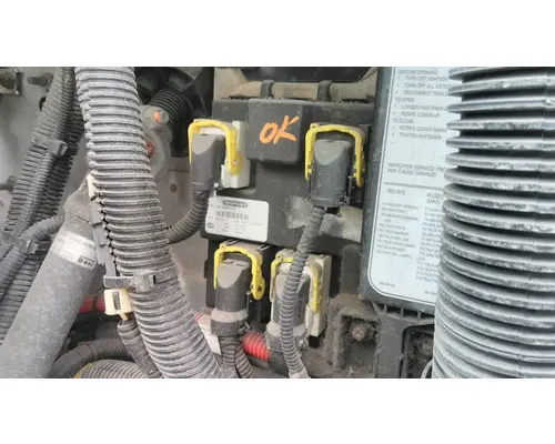 FREIGHTLINER CASCADIA 113 CHASSIS CONTROL MODULE (CCM)