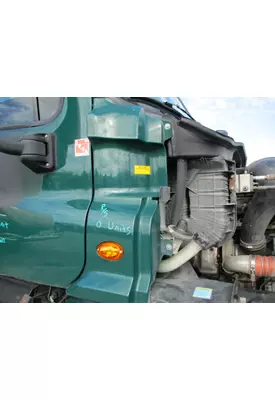 FREIGHTLINER CASCADIA 113 COWL