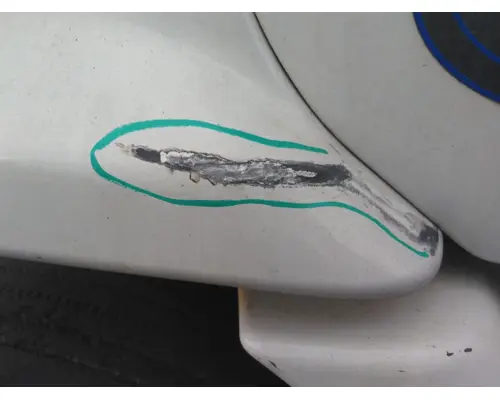 FREIGHTLINER CASCADIA 113 COWL