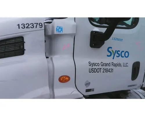 FREIGHTLINER CASCADIA 113 COWL