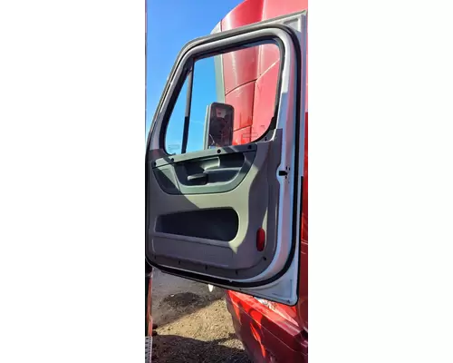 FREIGHTLINER CASCADIA 113 DOOR ASSEMBLY, FRONT