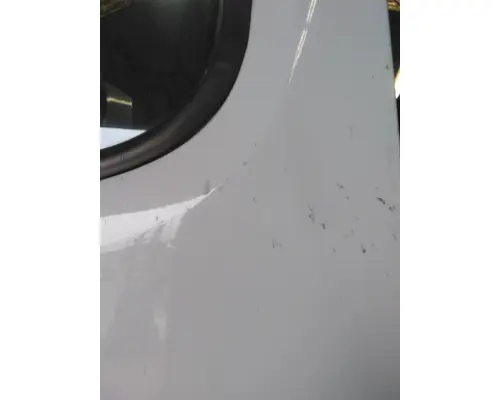 FREIGHTLINER CASCADIA 113 DOOR ASSEMBLY, FRONT