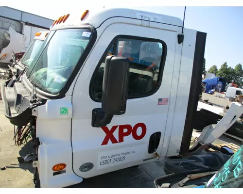 FREIGHTLINER CASCADIA 113 DOOR ASSEMBLY, FRONT