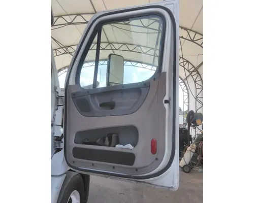 FREIGHTLINER CASCADIA 113 DOOR ASSEMBLY, FRONT