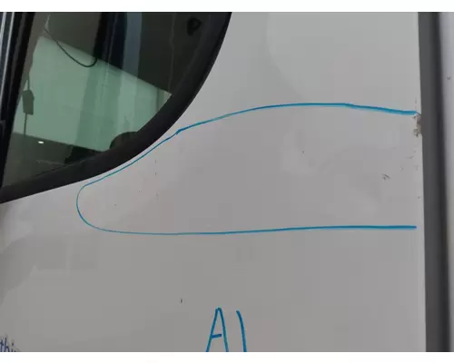 FREIGHTLINER CASCADIA 113 DOOR ASSEMBLY, FRONT