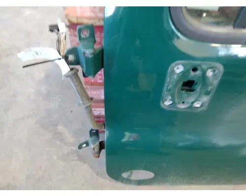 FREIGHTLINER CASCADIA 113 DOOR ASSEMBLY, FRONT