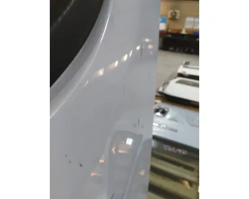 FREIGHTLINER CASCADIA 113 DOOR ASSEMBLY, FRONT