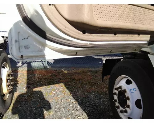 FREIGHTLINER CASCADIA 113 DOOR ASSEMBLY, FRONT